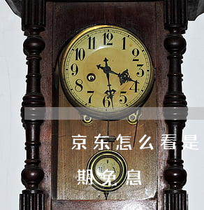京东怎么看是不是分期免息（京东如何查询分期免息）