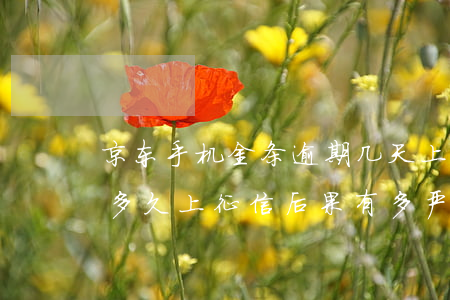京东手机金条逾期几天上征信(京东金条逾期多久上征信 后果有多严重)