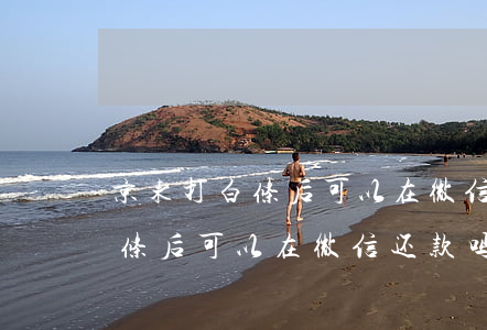 京东打白条后可以在微信还款吗-京东打白条后可以在微信还款吗安全吗