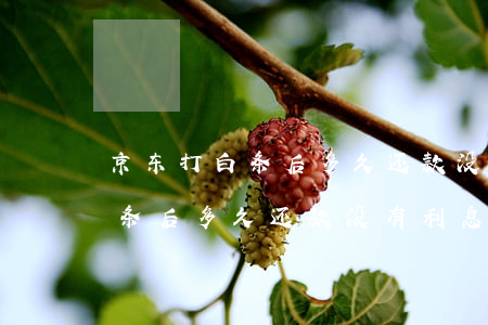 京东打白条后多久还款没有利息-京东打白条后多久还款没有利息了