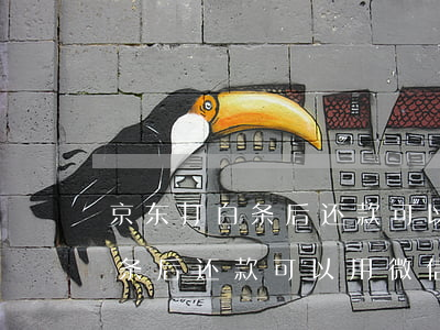 京东打白条后还款可以用微信吗-京东打白条后还款可以用微信吗安全吗