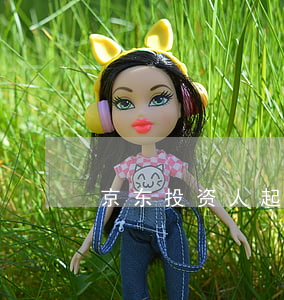 京东投资人起诉(起诉京东的案例)