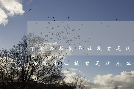 京东拍拍贷不让提前还款怎么处理-京东拍拍贷不让提前还款怎么处理呢