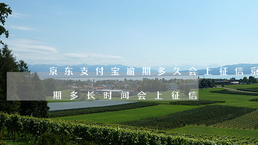 京东支付宝逾期多久会上征信(京东支付宝逾期多长时间会上征信)
