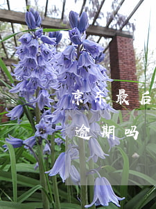京东最后还款日算逾期吗(京东最后还款日算逾期吗)