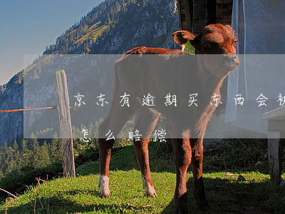 京东有逾期买东西会被扣吗 京东买东西过期怎么赔偿