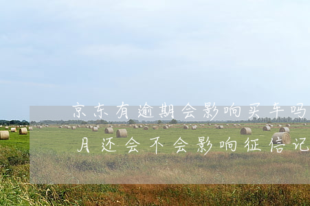 京东有逾期会影响买车吗(京东金融逾期一个月还会不会影响征信记录)