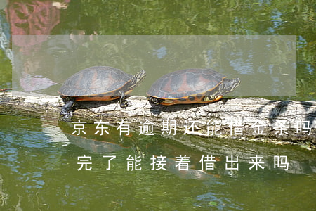 京东有逾期还能借金条吗(京东金条逾期了还完了能接着借出来吗)
