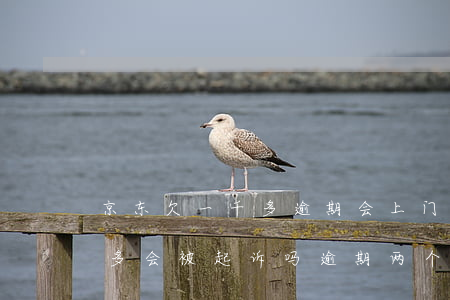 京东欠一千多逾期会上门吗-京东欠了三千多会被起诉吗 逾期两个月