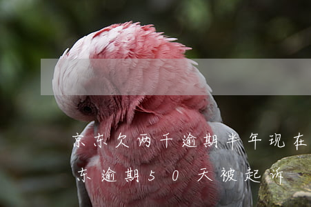 京东欠两千逾期半年现在说起诉是真的吗（京东逾期50天被起诉）