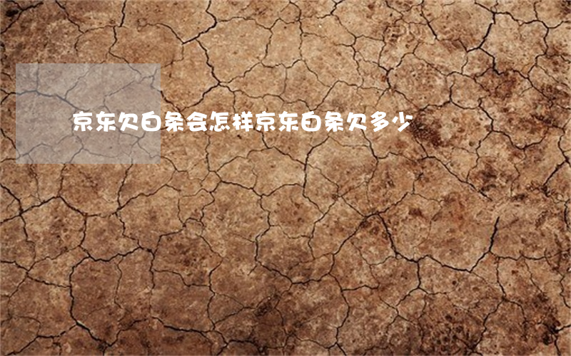 京东欠白条会怎样(京东白条欠多少)