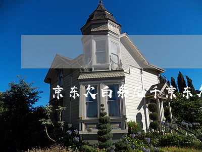 京东欠白条几千(京东欠白条几千)