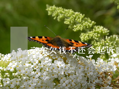 京东欠钱不还会起诉吗