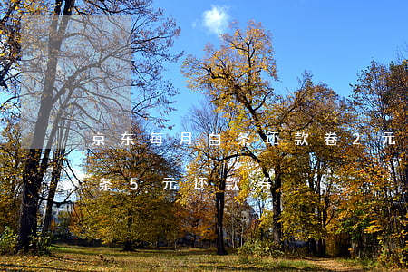 京东每月白条还款卷2元和5元是-京东白条5元还款券