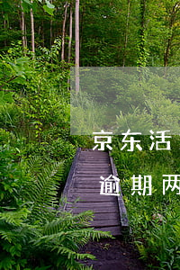 京东活力花网贷逾期-活力花借了8000逾期两年