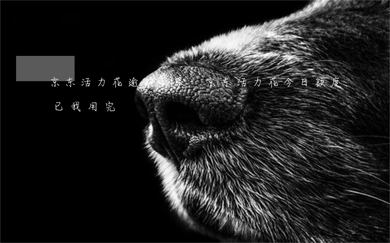 京东活力花逾期后果-京东活力花今日额度已我用完