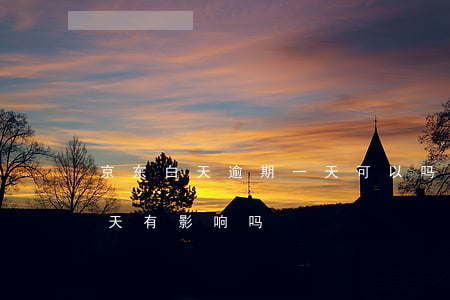 京东白天逾期一天可以吗-京东白条逾期一天有影响吗?