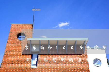 京东白条100多元逾期15天（京东白条160元逾期的后果）
