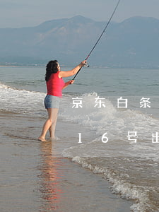 京东白条16号出账单几号还款-京东白条16号出账单几号还款啊