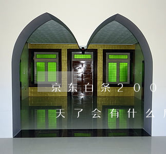 京东白条200块逾期6天(京东白条逾期六天了会有什么后果?)