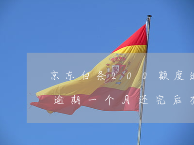 京东白条200额度逾期一个月-京东白条逾期一个月还完后有多少几率恢复