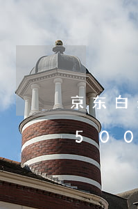 京东白条2200逾期50天(京东白条逾期500多快20天)