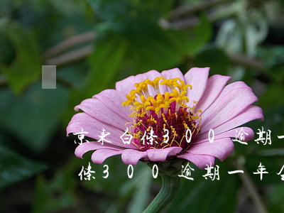 京东白条300逾期一年会坐牢吗-京东白条300逾期一年会坐牢吗怎么办