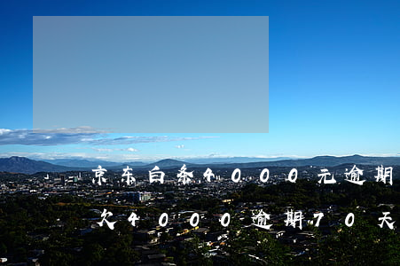 京东白条4000元逾期30天-京东白条欠4000逾期70天