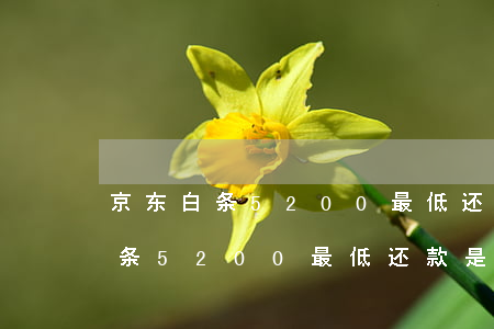 京东白条5200最低还款是多少-京东白条5200最低还款是多少钱