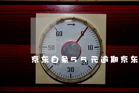 京东白条55元逾期(京东白条逾期150元)