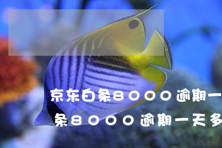 京东白条8000逾期一天多少钱-京东白条8000逾期一天多少钱利息