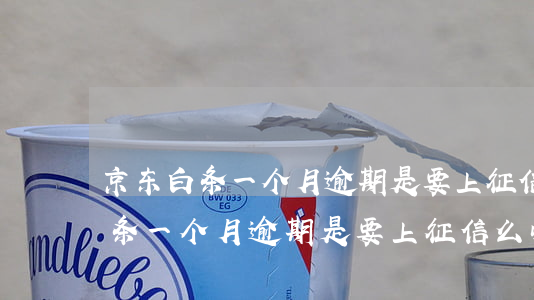 京东白条一个月逾期是要上征信么-京东白条一个月逾期是要上征信么吗