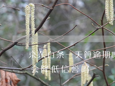 京东白条一天算逾期吗(京东白条迟一天还款会降低信誉吗)
