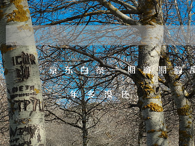 京东白条一期逾期额度就没了(京东白条逾期一年多没还)