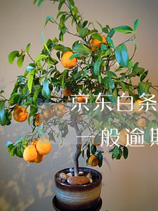 京东白条一般逾期多久才上征信-京东白条一般逾期多久才上征信记录