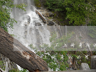 京东白条不上传身份证可以还款吗-京东白条不上传身份证可以还款吗安全吗