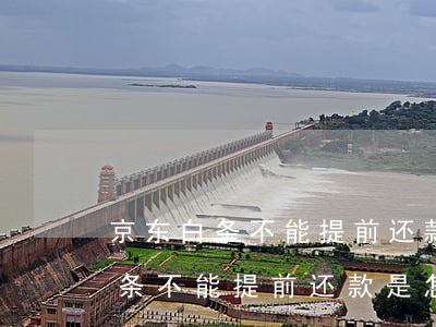 京东白条不能提前还款是怎么回事-京东白条不能提前还款是怎么回事儿