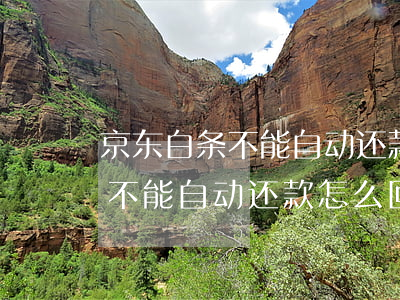 京东白条不能自动还款怎么回事-京东白条不能自动还款怎么回事儿