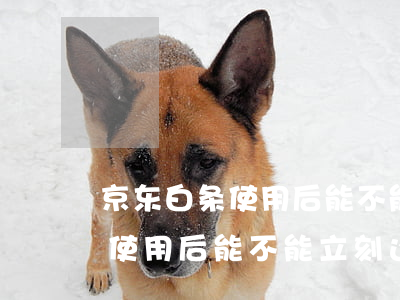 京东白条使用后能不能立刻还款-京东白条使用后能不能立刻还款呢