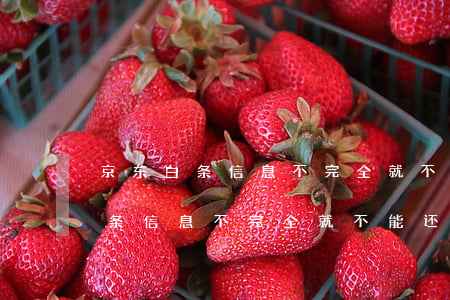 京东白条信息不完全就不能还款吗-京东白条信息不完全就不能还款吗安全吗
