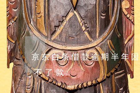 京东白条借款逾期半年(因为京东白条逾期,贷不了款)