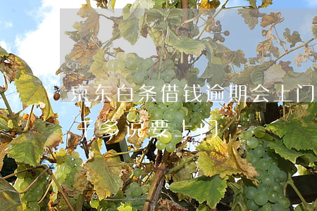 京东白条借钱逾期会上门-京东白条逾期1千多说要上门