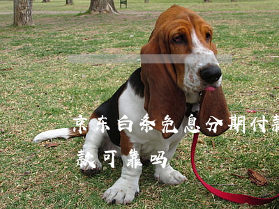 京东白条免息分期付款(京东白条免息分期付款可靠吗)