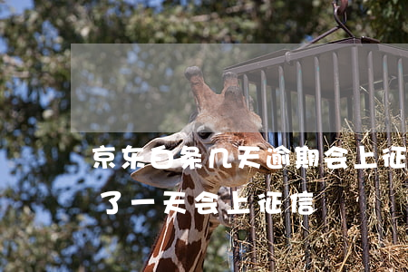 京东白条几天逾期会上征信-京东白条逾期了一天会上征信