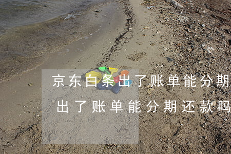 京东白条出了账单能分期还款吗-京东白条出了账单能分期还款吗安全吗