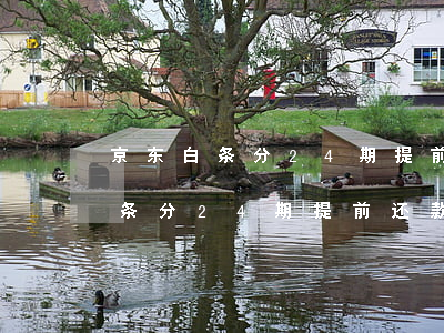 京东白条分24期提前还款手续费-京东白条分24期提前还款手续费怎么算