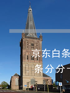 京东白条分分卡分期怎么提前还款-京东白条分分卡如何提前还款