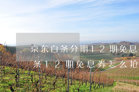 京东白条分期12期免息券哪里抢-京东白条12期免息券怎么抢
