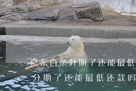 京东白条分期了还能最低还款吗-京东白条分期了还能最低还款吗