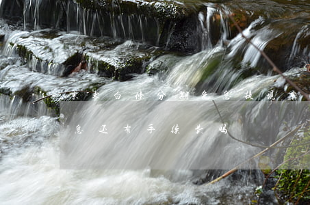 京东白条分期免息提现 京东白条分期付款免息还有手续费吗